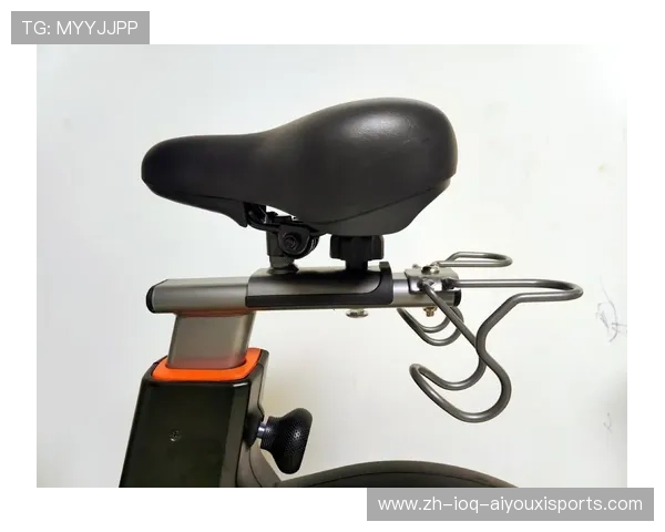 高效燃脂健身器材推荐哪些器械助力快速减肥